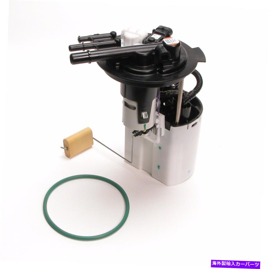 Fuel Pump Module Assembly 燃料ポンプモジュールアセンブリDelphi FG0405 Pontiac Montana（2005-2006） Fuel Pump Module Assembly Delphi FG0405 PONTIAC MONTANA (2005 - 2006)【並行輸入品】