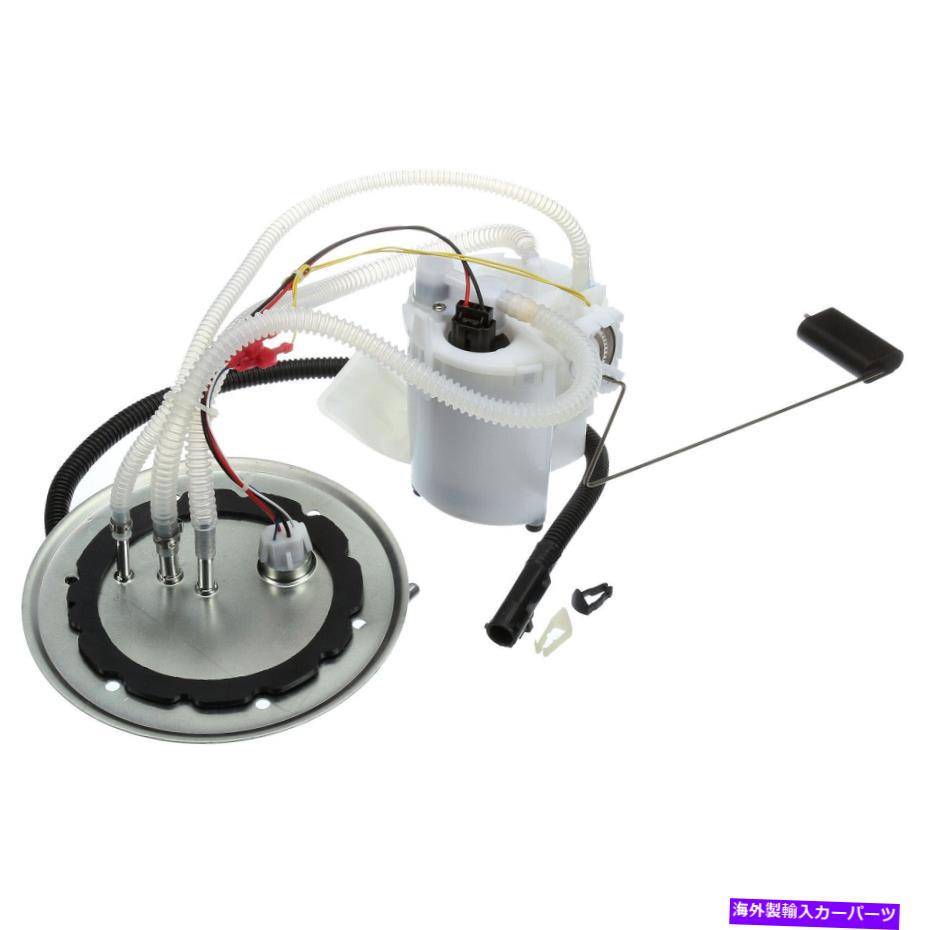 Fuel Pump Module Assembly Delphi FG0952燃料ポンプモジュールアセンブリ選択99-04フォードモデル Delphi FG0952 Fuel Pump Module Assembly For Select 99-04 Ford Models【並行輸入品】