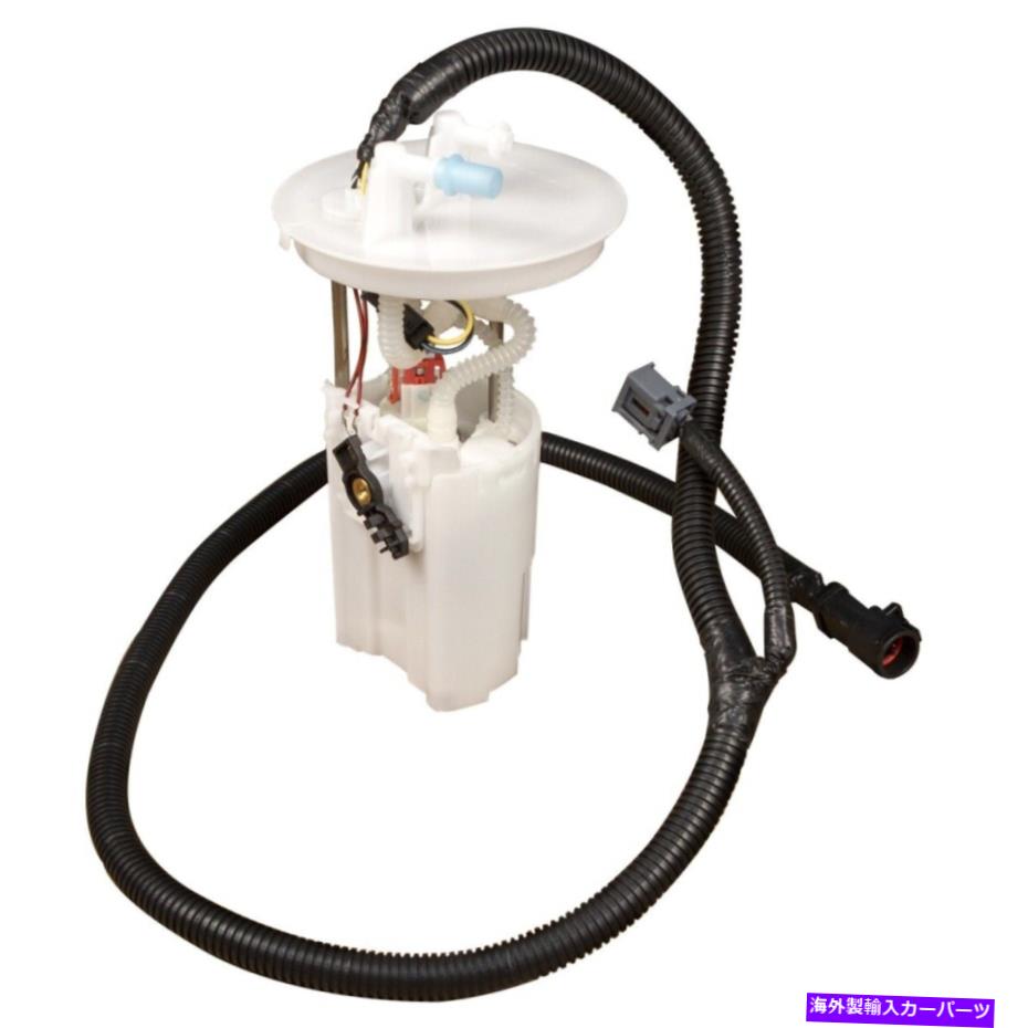 Fuel Pump Module Assembly FG0829 Delphi Electric Fuel Pump Gas for Ford Freestar Mercury Monterey FG0829 Delphi Electric Fuel Pump Gas New for Ford Freestar Mercury Monterey【並行輸入品】