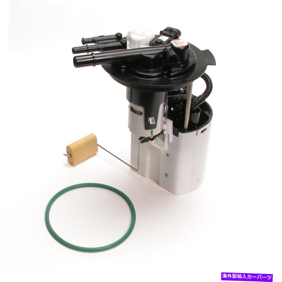 Fuel Pump Module Assembly Delphi FG0405 05-07 Montana Uplanderの燃料ポンプモジュールアセンブリ Delphi FG0405 Fuel Pump Module Assembly For 05-07 Montana Uplander【並行輸入品】