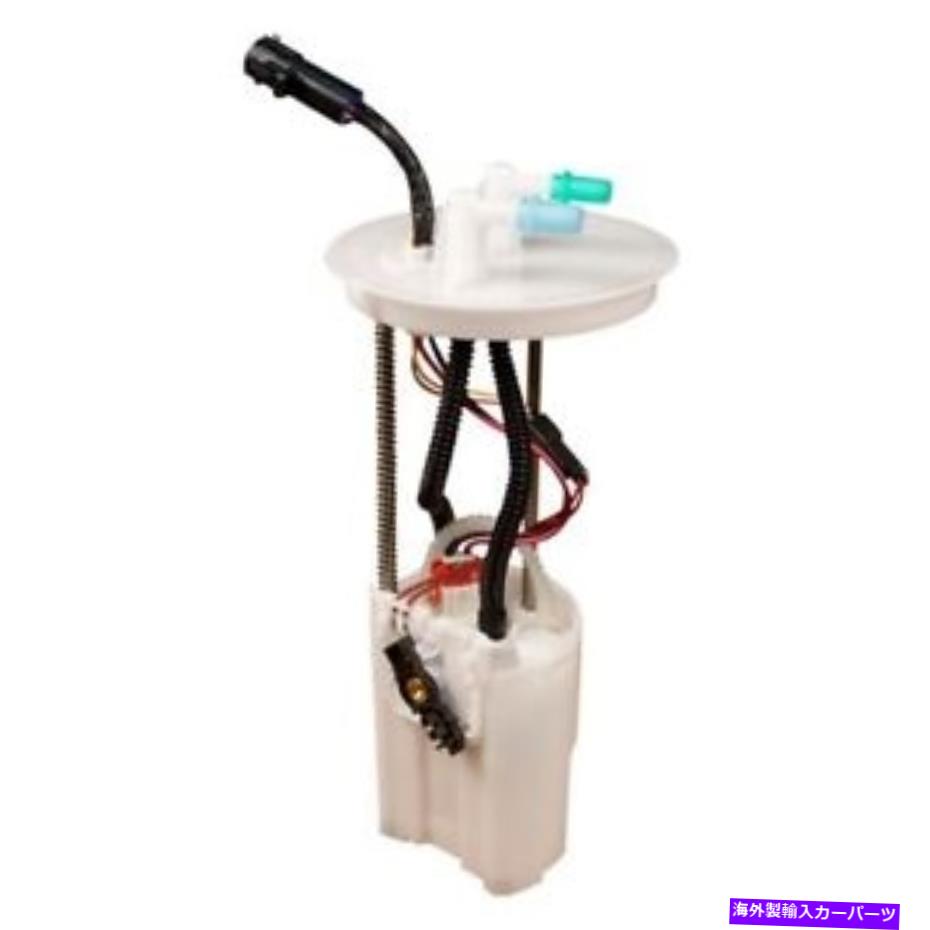Fuel Pump Module Assembly FG0969 Delphi燃料ポンプモジュールアセンブリP/N:FG0969 Fg0969 Delphi Fuel Pump Module Assembly P/N:Fg0969【並行輸入品】