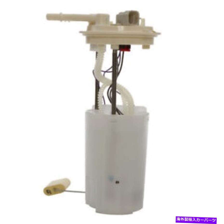 Fuel Pump Module Assembly Delphi FG0045燃料ポンプモジュールアセンブリ Delphi FG0045 Fuel Pump Module Assembly【並行輸入品】