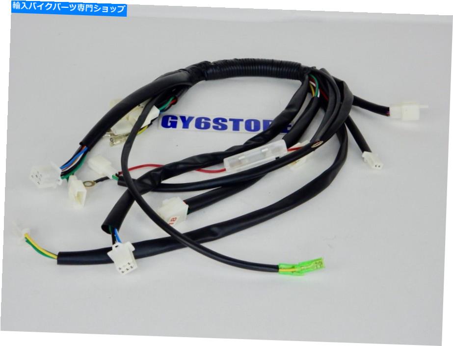 Headlight タオタオATV（125 Tフォース、ATA 125 D、ATA 135DU）ワイヤーハーネスアセンブリ *OEM * TAO TAO ATV (125 T FORCE, ATA 125 D, ATA 135DU) WIRE HARNESS ASSEMBLY *OEM*【並行輸入品】