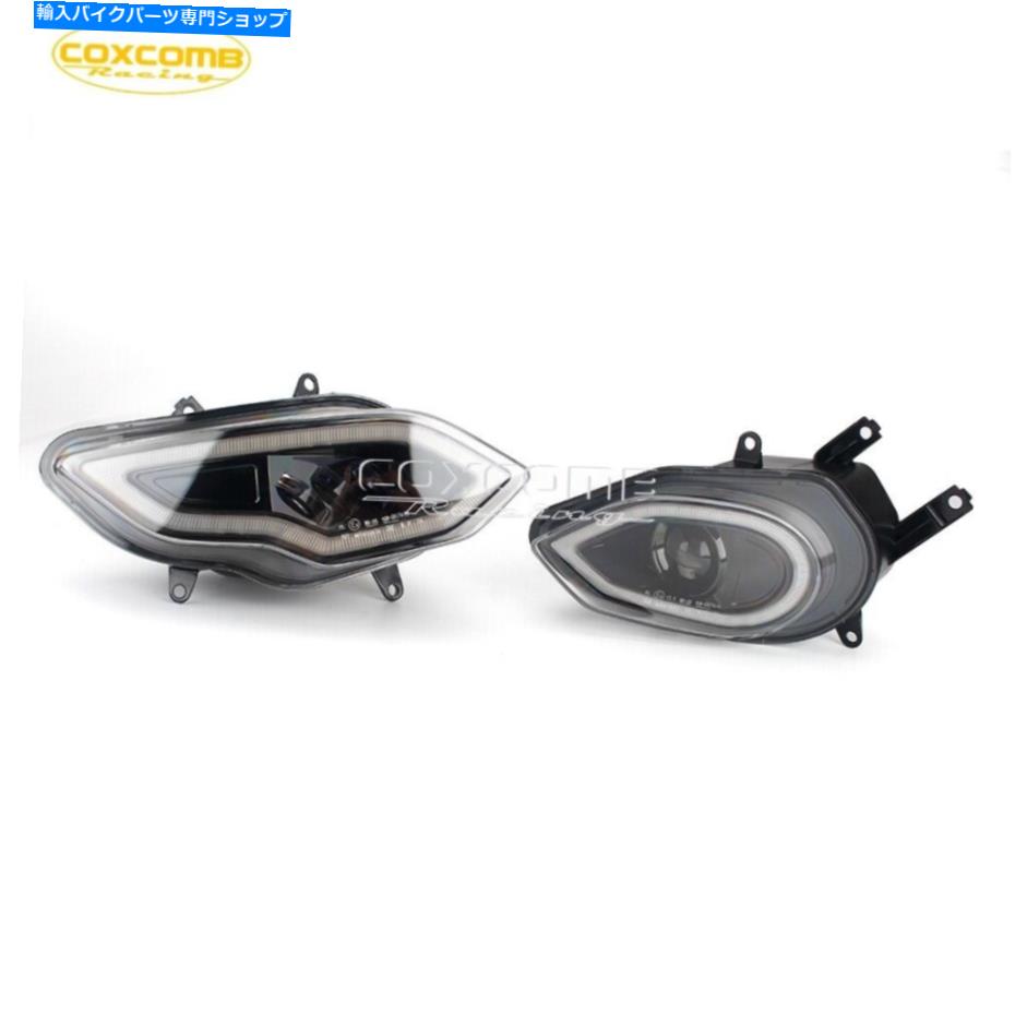 Headlight 2xフルLEDヘッドライトアセンブリ S1000RR 2015 2016 2017 2018用フロントランプ 2x Full LED Headlight Assembly Front Lamps For  S1000RR 2015 2016 2017 2018【並行輸入品】
