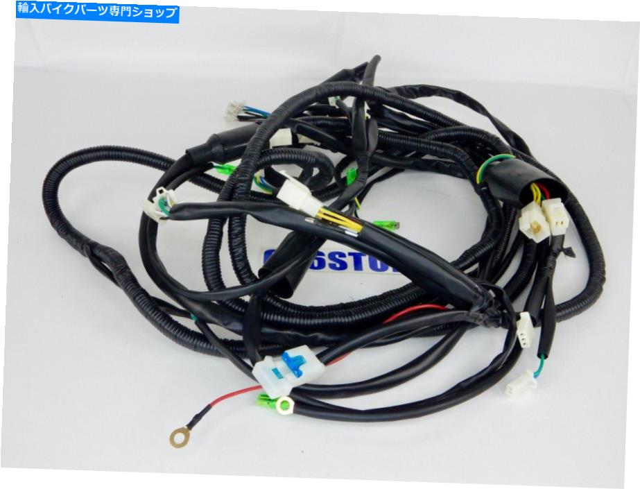 Headlight タオタオゴーカート（タルガ150＆200）ワイヤーハーネスアセンブリ *OEM * TAO TAO GO KART (TARGA 150 & 200) WIRE HARNESS ASSEMBLY *OEM*【並行輸入品】