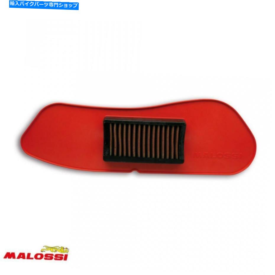Air Filter スクーターのエアフィルターマロッシヤマハ250 YP X-MAX 2006?2016）新しい Air Filter Malossi for Scooter Yamaha 250 YP X-max 2006 To 2016) New【並行輸入品】