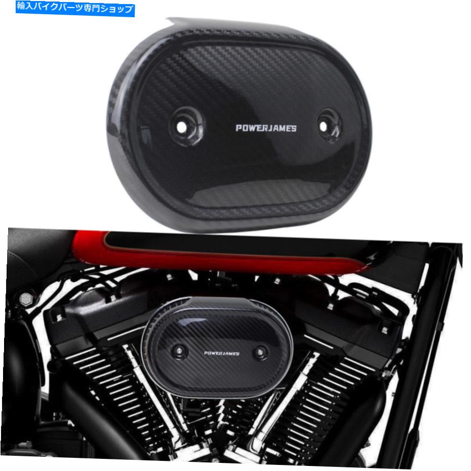 【楽天市場】Air Filter ハーレーFLFBS FLHCS FXFBS FXBRS 18 19 20 21 22のカーボンファイバーエア