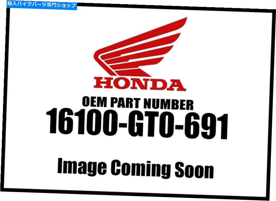 Carburetor ホンダキャブレターアセンブリ。 16100-GT0-691 NEW OEM Honda Carburetor Assembly . 16100-GT0-691 New OEM【並行輸入品】