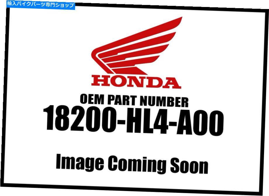 Air Filter Honda 2016-2018 Pioneer SXS Ex Pipe Assembly 18200-HL4-A00新しいOEM Honda 2016-2018 Pioneer SXS Ex Pipe Assembly 18200-HL4-A00 New OEM【並行輸入品】