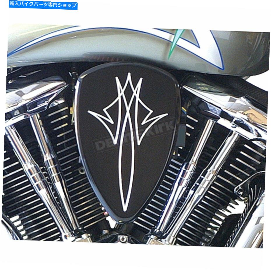 Air Filter バロンカスタムピンストリップブラックビッグエアキット-BA-2013-13B（CAに船はありません） Baron Custom Pinstrip Black Big Air Kit - BA-2013-13B (no ship to CA)【並行輸入品】