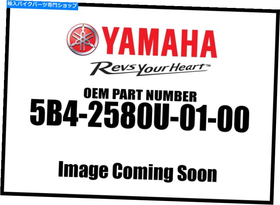 Air Filter ヤマハキャリパーアセンブリ右5B4-2580U-01-00新しいOEM Yamaha Caliper Assembly Right 5B4-2580U-01-00 New OEM【並行輸入品】
