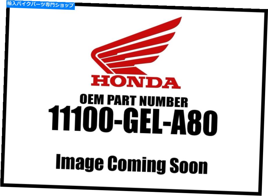 Air Filter Honda 2013-2018 CR右クランクケース11100-GEL-A80 NEW OEM Honda 2013-2018 CR Right Crankcase 11100-GEL-A80 New OEM【並行輸入品】 64,917円