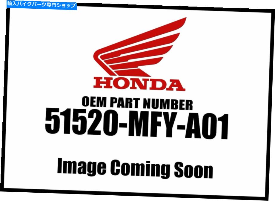 Air Filter Honda 2010-2018 Shadow Vt Cr左下位ケース51520-MFY-A01新しいOEM Honda 2010-2018 Shadow VT CR Left Lower Case 51520-MFY-A01 New OEM【並行輸入品】