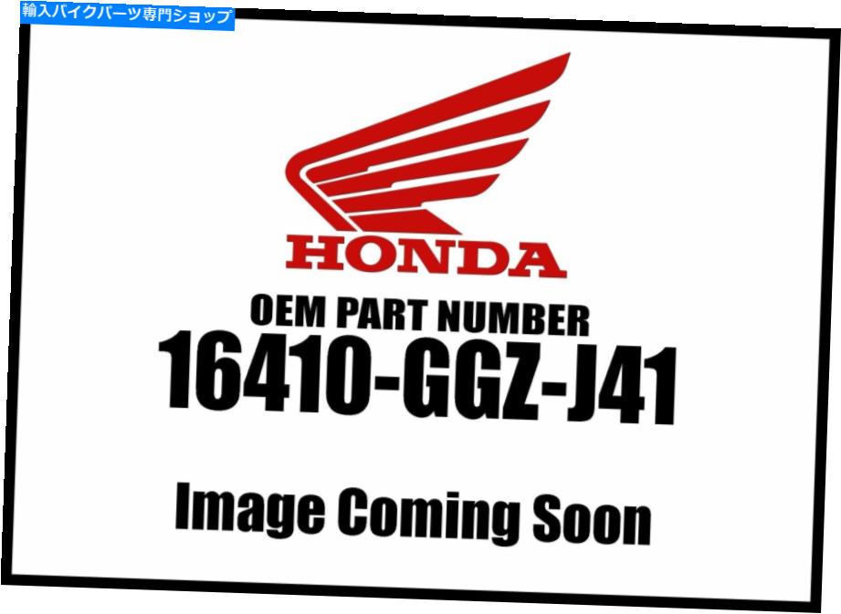 Air Filter Honda 2016-2018 NC Body Set 16410-GGZ-J41 NEW OEM Honda 2016-2018 NC Body Set 16410-GGZ-J41 New OEM【並行輸入品】