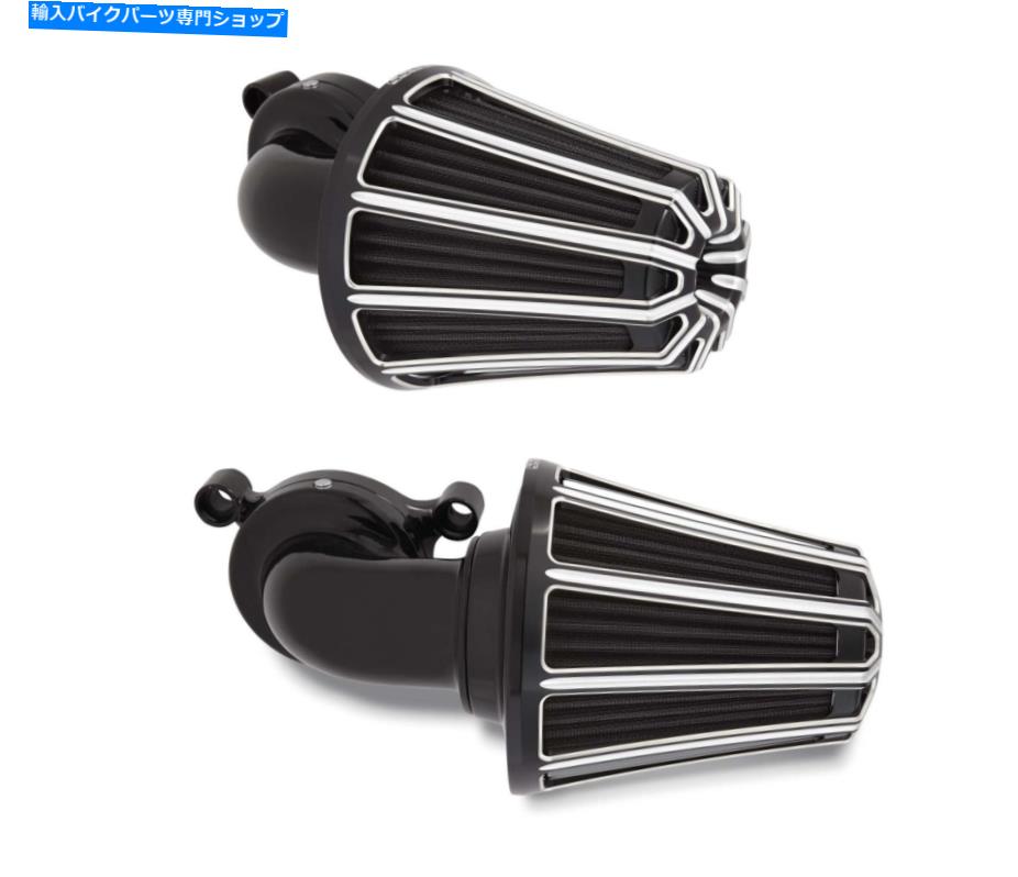 Air Filter アーレンネスブラック10ゲージモンスターサッカーエアクリーナーハーレーツーリングTBW 08-16 Arlen Ness Black 10 Gauge Monster Sucker Air Cleaner Harley Touring TBW 08-16【並行輸入品】
