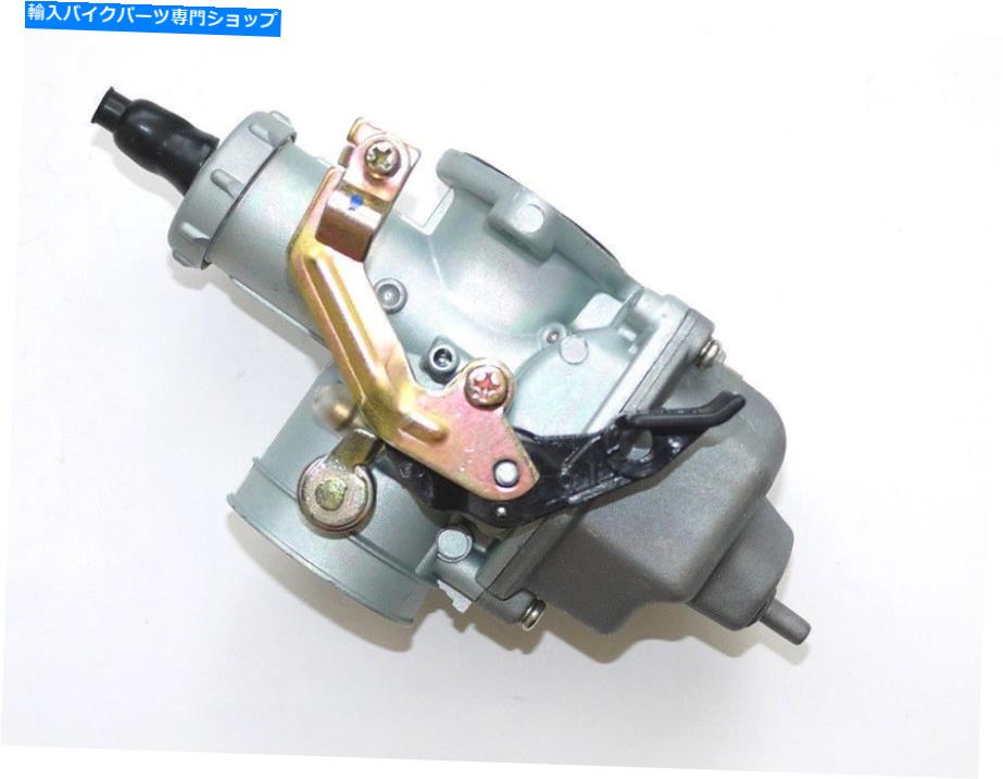 Carburetor Part PZ30 30mmキャブレターケーブルチョークオートバイダートバイクATV GO KART 200cc 250cc PZ30 30mm Carburetor Cable Choke Motorcycle Dirt Bike ATV Go Kart 200cc 250cc【並行輸入品】