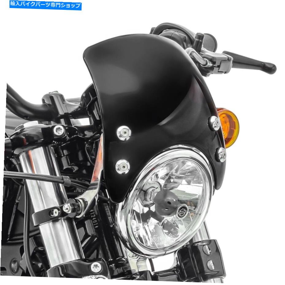 Windshields ハーレーデイビッドソンスポーツスター48 /特別CW8のフロントガラス Windshield for Harley Davidson Sportster Forty-Eight 48 / Special CW8【並行輸入品】