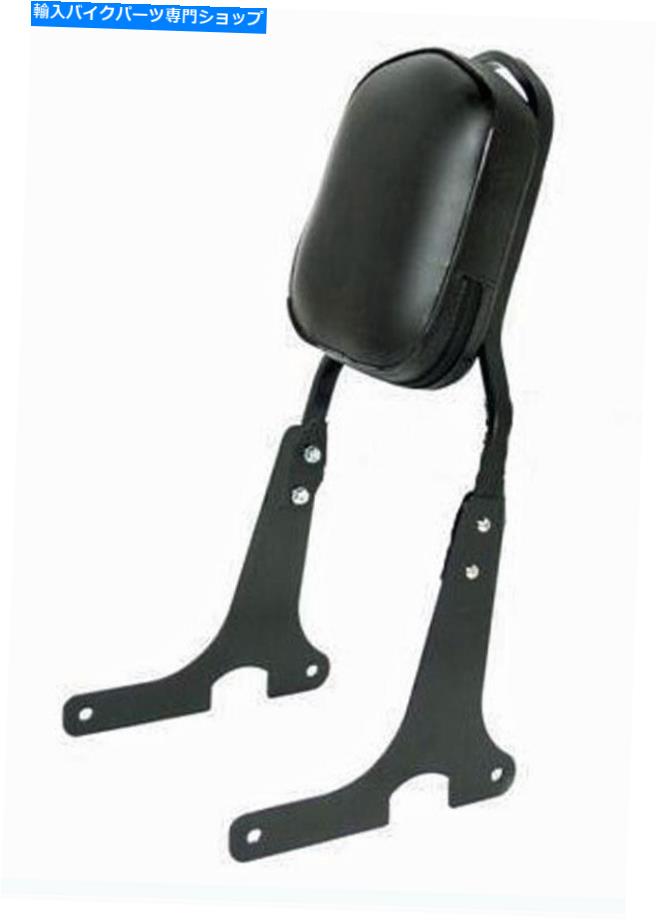 Seats Hyosung Eagle GV 650＆GV 650iに固有のバックレストSpaan Steel Black Backrest Spaan Steel Black Specific for Hyosung Eagle GV 650 & GV 650i【並行輸入品】