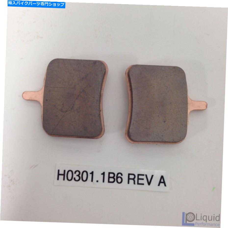 Brake Pads Erik Buell EBRオートバイリアブレーキパッドセット（H0301.1B6 Rev A） Erik Buell EBR Motorcycle REAR BRAKE PAD SET (H0301.1B6 Rev A)【並行輸入品】