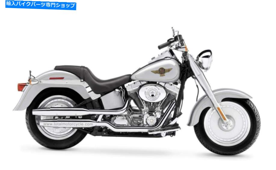 Hoses ハーレーデビッドソン1340 FLSTファットボーイ1990-2001フロントステンレスブレーキラインキットHD HARLEY DAVIDSON 1340 FLST FAT BOY 1990-2001 FRONT STAINLESS BRAKE LINE KIT HD【並行輸入品】