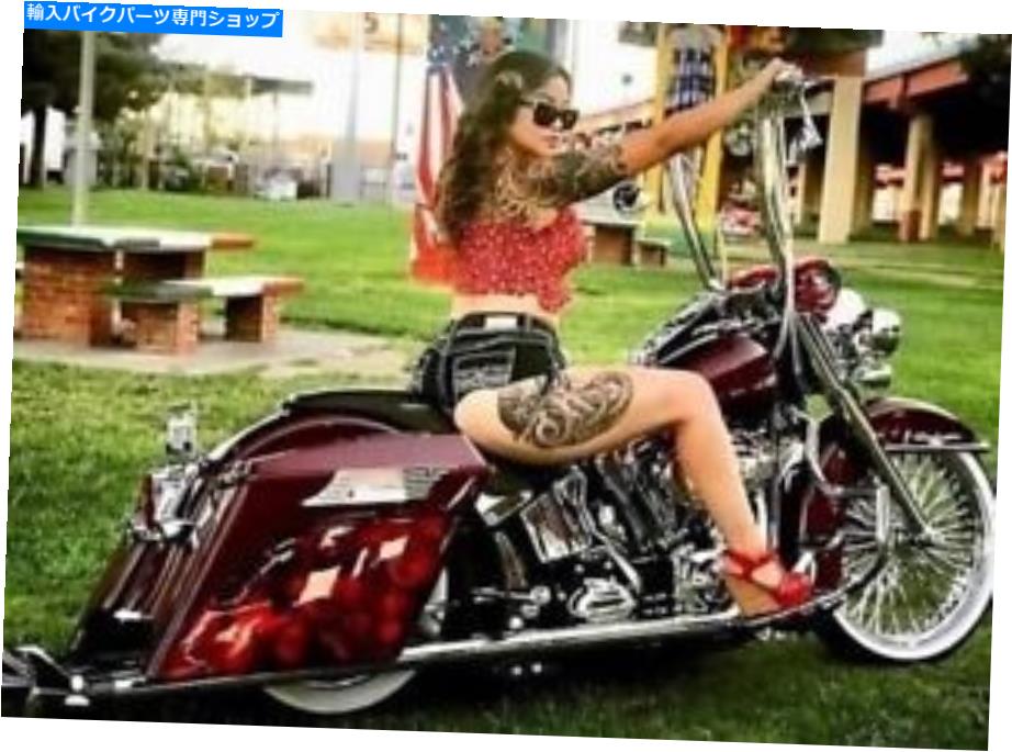 Hoses ロードキングABSフロントブレーキライン+4ステンレス鋼グッドリッジハーレー2008 FLHR/C Road King ABS Front Brake Line +4 Stainless Steel Goodridge Harley 2008 FLHR/C【並行輸入品】