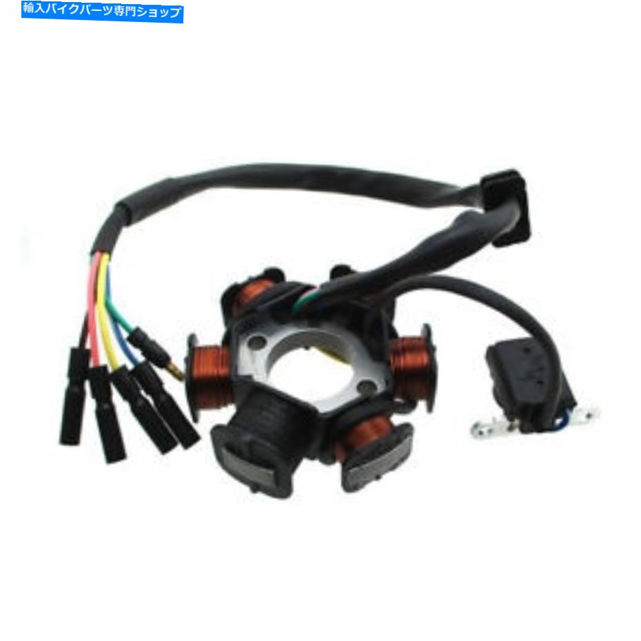 Magnetos エンジン6コイル50cc 110ccのマグネトステーター125cc電気開始ピットダートバイク Engine 6 Coils Magneto Stator For 50cc 110cc 125cc Electric Start Pit Dirt Bike【並行輸入品】