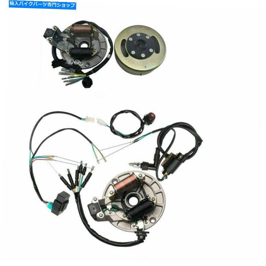 Magnetos フルワイヤーハーネス125cc ssr 110cc 140ccアポロピットバイク用のフルワイヤーハーネスキット FULL WIRE HARNESS MATNETO STATOR KIT FOR 125CC SSR 110CC 140cc APOLLO PIT BIKE【並行輸入品】｜Us Custom Parts Shop USDM