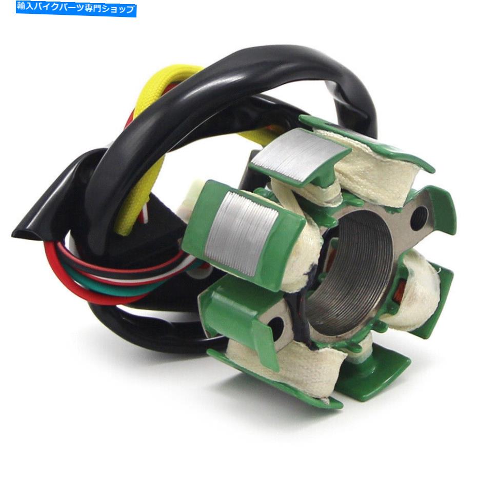 Magnetos Husqvarna 55439004000 TC250 2017-2020のマグネトジェネレーターステーターコイル Magneto Generator Stator Coil for Husqvarna 55439004000 TC250 2017-2020【並行輸入品】