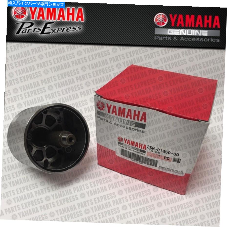 Magnetos 新しい本物のOEM 2015ヤマハFZS1マグネトステータージェネレーターフライホイールローター NEW GENUINE OEM 2015 YAMAHA FZS1 MAGNETO STATOR GENERATOR FLYWHEEL ROTOR【並行輸入品】|Us Custom Parts Shop USDM