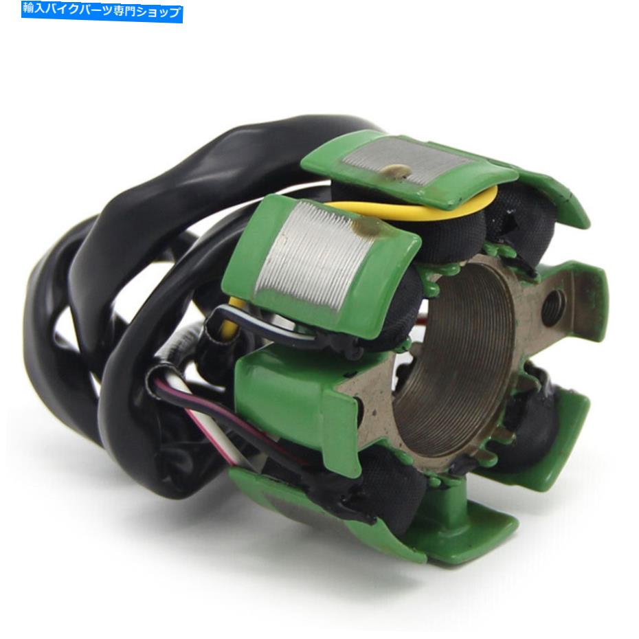 Magnetos Husaberg FC550 FC450 2004-2005のマグネトジェネレーターステーターコイル Magneto Generator Stator Coil for Husaberg FC550 FC450 2004-2005【並行輸入品】