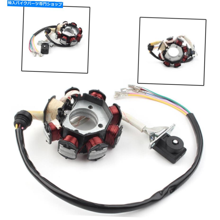 Magnetos 200cc 250cc中国のATV Quad Go Kart Taotao Kandi Bajaのステーターマグネト8コイル Stator Magneto 8 Coil for 200cc 250cc Chinese ATV Quad Go Kart TaoTao Kandi Baja【並行輸入品】