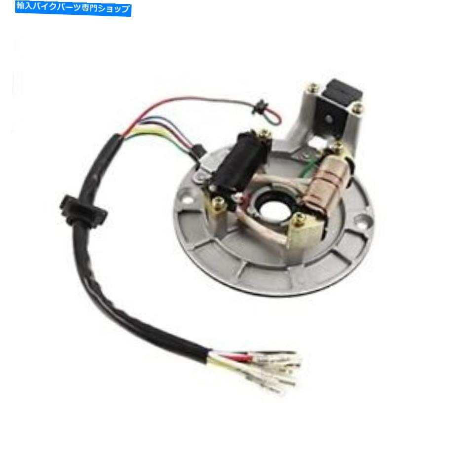 Magnetos Wai Danie 2コイルステーターイグニッションマグネトプレート50cc 70cc 90cc 110cc 125cc ... Wai Danie 2 Coil Stator Ignition Magneto Plate for 50cc 70cc 90cc 110cc 125cc...【並行輸入品】