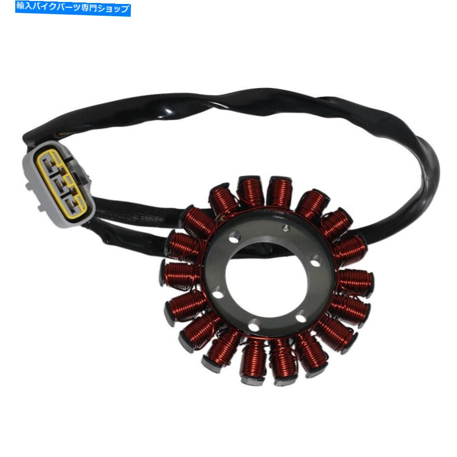 Magnetos BMW S1000XR K69 18-2019 S1000RR K67 2018-2020用マグネトジェネレーターステーターコイル Magneto Generator Stator Coil for BMW S1000XR K69 18-2019 S1000RR K67 2018-2020【並行輸入品】