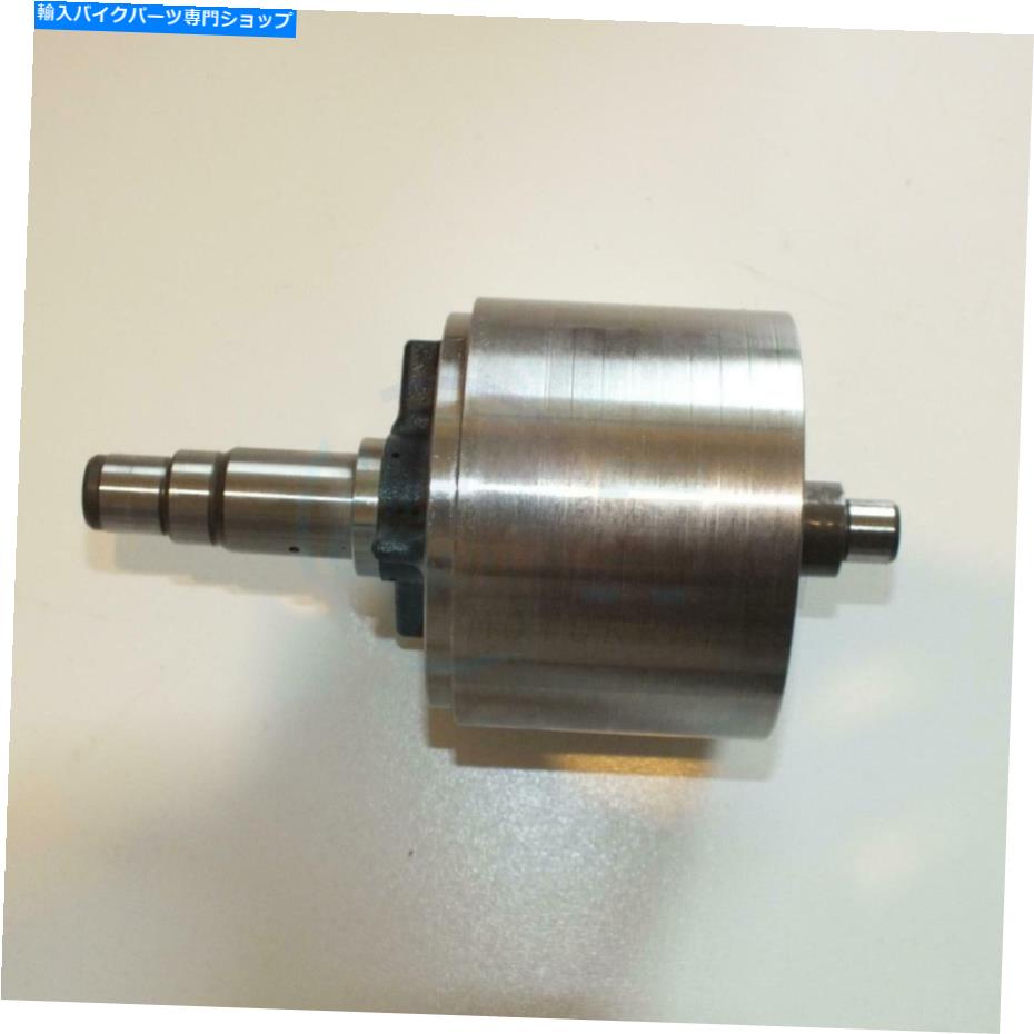 Magnetos ヤマハYZFR1 FZ1 04-15用マグネトステータージェネレーターフライホイールローター2SH814500000 Magneto Stator Generator Flywheel Rotor 2SH814500000 For Yamaha YZFR1 FZ1 04-15【並行輸入品】｜Us Custom Parts Shop USDM