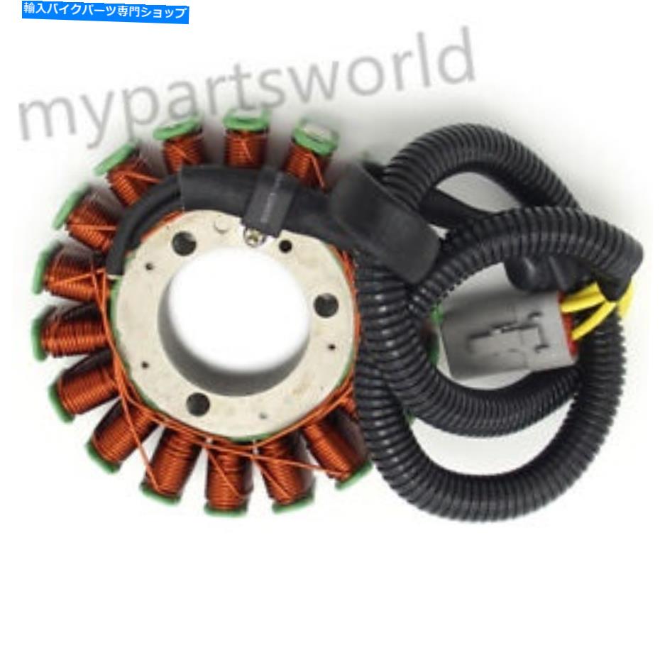 Magnetos Lynx Magneto Generator Engine Stator Coil Yeti Pro V-800 Rave Re 800 R用 For Lynx Magneto Generator Engine Stator Coil YETI Pro V-800 Rave RE 800 R【並行輸入品】 45,012円