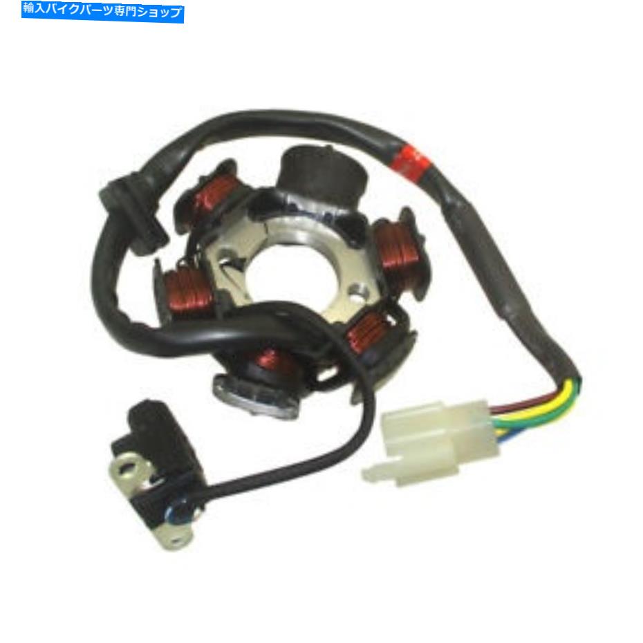 Magnetos 子供用エンジンマグネトステーターコイル60cc rxf kurzレーシングFS65ミニダートバイク Engine Magneto Stator Coil For Kids 60cc RXF Kurz Racing FS65 Mini Dirt Bike【並行輸入品】