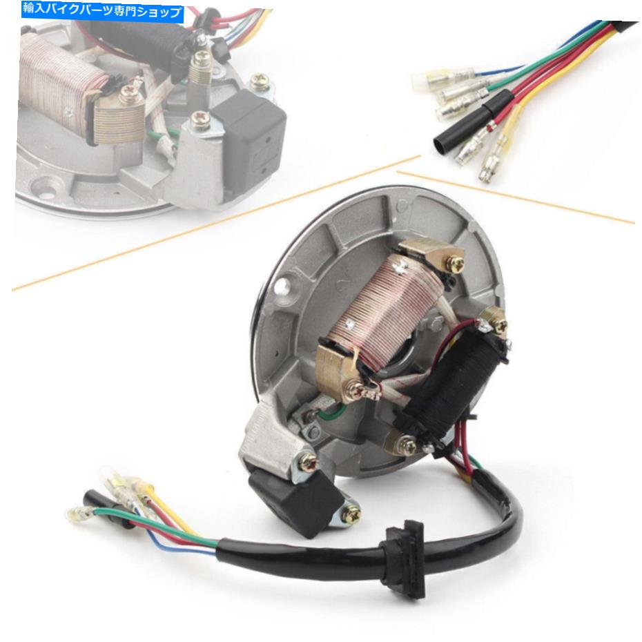 Magnetos 70 90 110cc 125ccダートバイクATV GO KART CHINSE2コイル用マグネトステータープレート Magneto Stator Plate For 70 90 110cc 125cc Dirt Bike ATV Go Kart Chinese 2 Coil【並行輸入品】