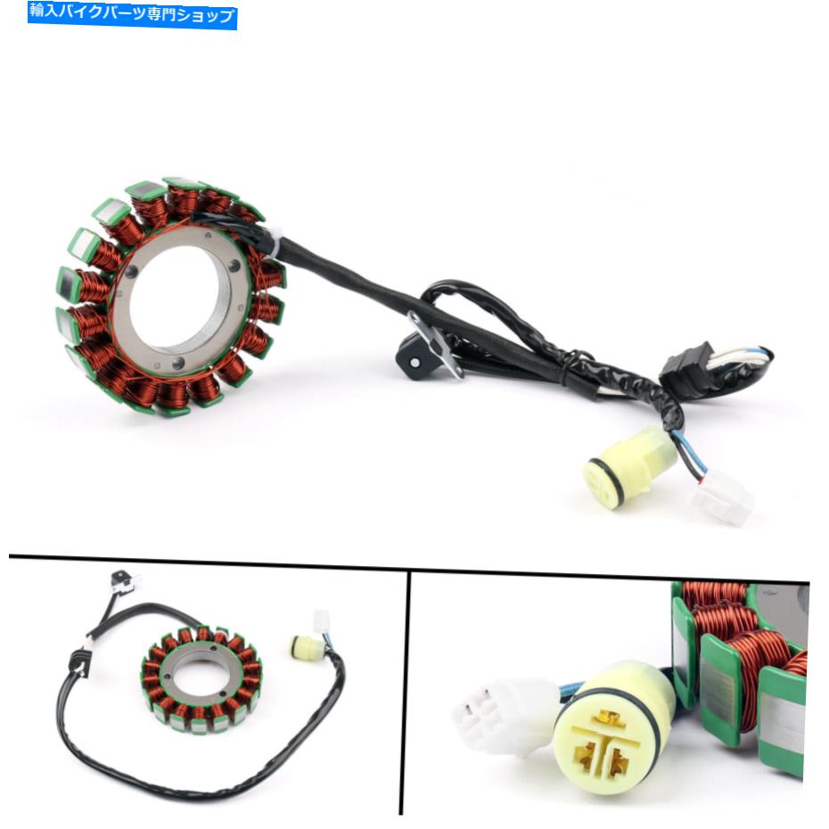Magnetos Magneto Generator Stator Coil for Bennche UTV 700 Massimo MSU 500 Hisun^ Magneto Generator Stator Coil For Bennche UTV 700 Massimo MSU 500 Hisun^【並行輸入品】