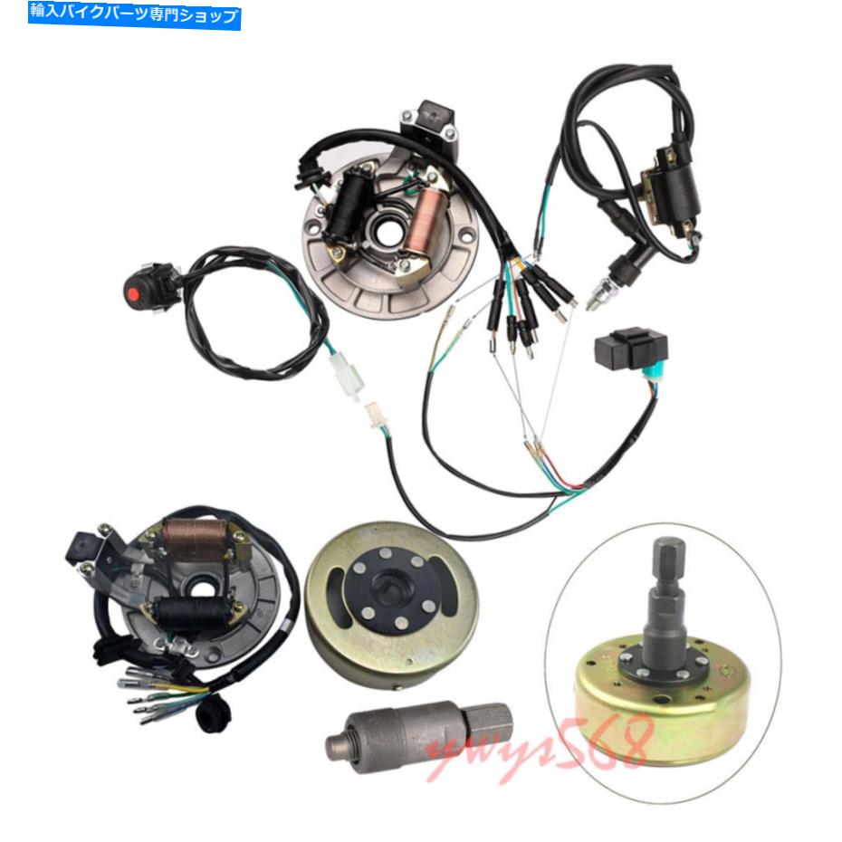 Magnetos マグネトステータープレートフライホイールプーラーライフンゾンシェンダートバイクのためのワイヤーハーネス Magneto Stator Plate Flywheel Puller Wiring Harness for Lifan Zongshen Dirt Bike【並行輸入品】