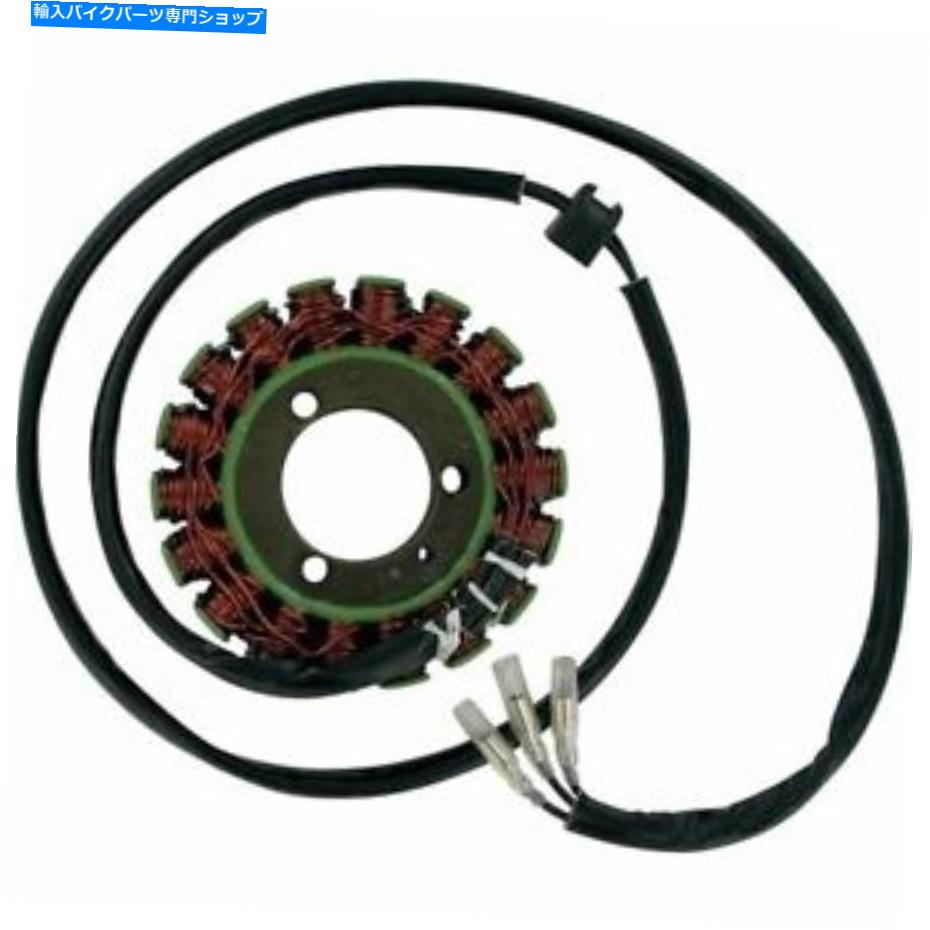 Magnetos Ricks Electric Magneto Stator Suzuki GS700 GS750 GS1000 GS1100 GS1150 Ricks Electric Magneto Stator Suzuki GS700 GS750 GS1000 GS1100 GS1150【並行輸入品】|Us Custom Parts Shop USDM