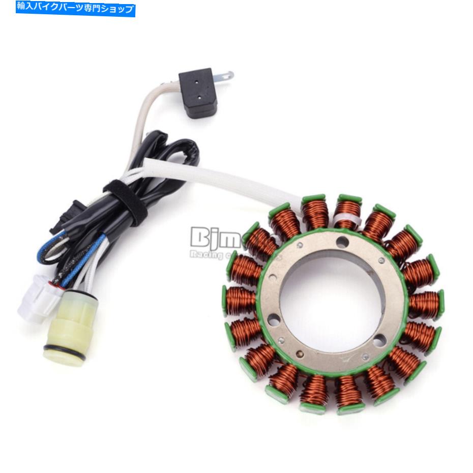 Magnetos Magneto Generator Stator Coil for Bennche Grey Grey Wolf Cowboy Bighorn 500 700 Magneto Generator Stator Coil For Bennche Gray Wolf Cowboy Bighorn 500 700【並行輸入品】
