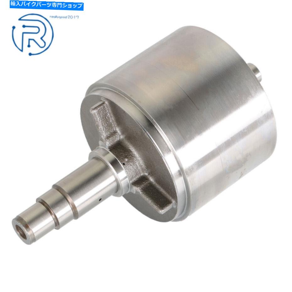 Magnetos 04-08ヤマハR1ステーターマグネトオルタネータージェネレーターフライホイールrrotor-新しいスタイル 04-08 Yamaha R1 Stator Magneto Alternator Generator Flywheel Rrotor - NEW STYLE【並行輸入品】