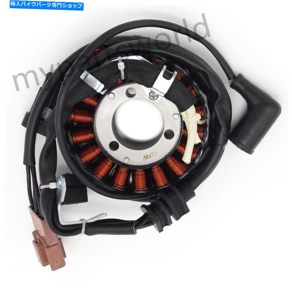 Magnetos Derbi Magneto Generator Engine Stator Coil Gp1 250 Rambla 125 Rambla 250i用 For Derbi Magneto Generator Engine Stator Coil GP1 250 Rambla 125 Rambla 250i【並行輸入品】