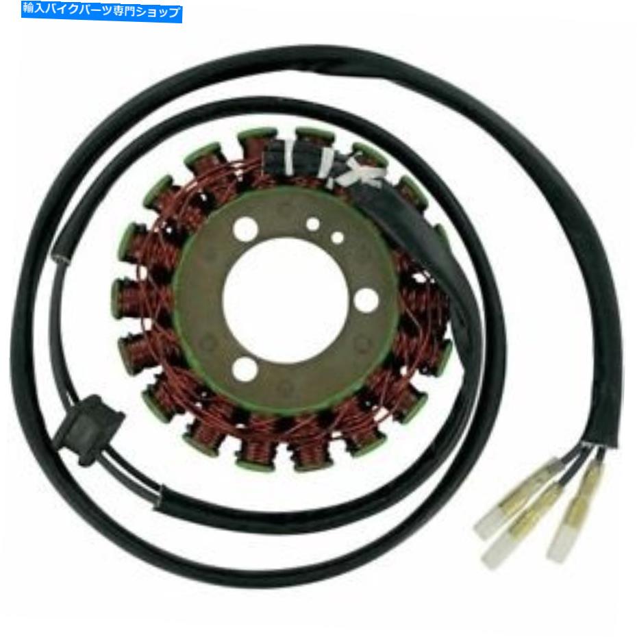 Magnetos Ricks Electric Magneto Stator Suzuki GS550E GS550ES GS550Lインパルス Ricks Electric Magneto Stator Suzuki GS550E GS550ES GS550L Impulse【並行輸入品】