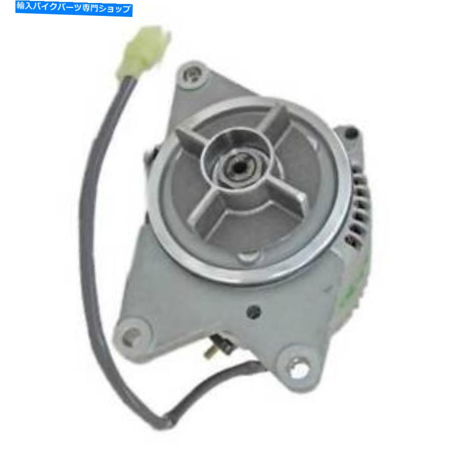Alternators 新しいオルタネーターは、ホンダヴァルキリーLR140-718A LR140-718B 31100MZ0005 31100MZ0015に適合します NEW ALTERNATOR FITS HONDA VALKYRIE LR140-718A LR140-718B 31100MZ0005 31100MZ0015【並行輸入品】