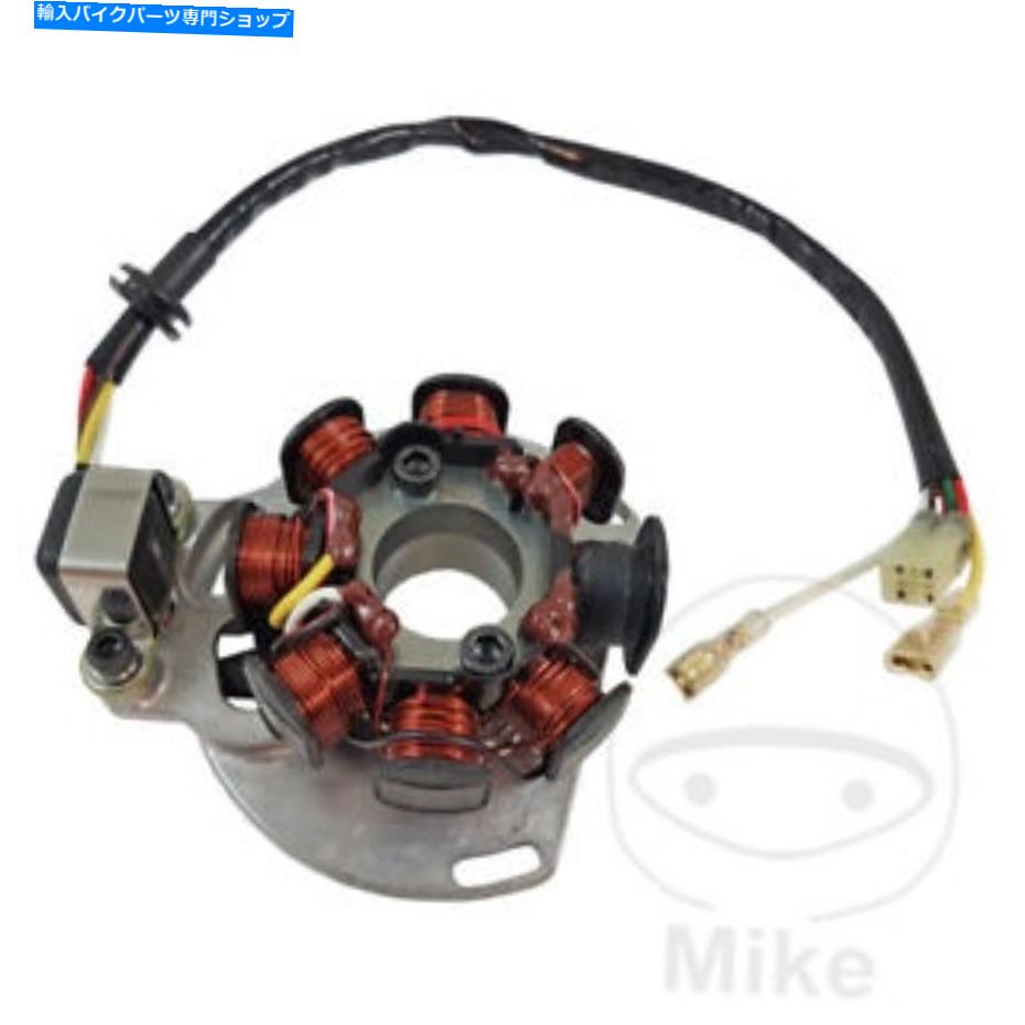 Alternators KTM SX 250 2006-2016オルタネーターステーター KTM SX 250 2006 - 2016 Alternator Stator【並行輸入品】