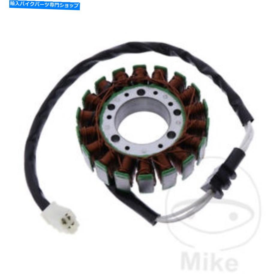 Alternators ヤマハFZ6 600 NS 2005-2006オルタネーターステーター Yamaha FZ6 600 NS 2005 - 2006 Alternator Stator【並行輸入品】
