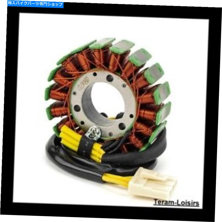 Alternators KTM 90139004000/90539004000/90539004100 NEWのステーターイグニッション Stator Ignition for KTM 90139004000/90539004000/90539004100 New【並行輸入品】