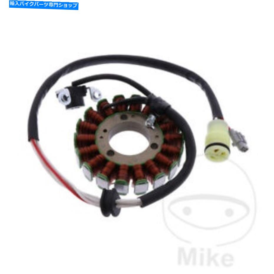 Alternators ヤマハYFM 250 R 2008-2014オルタネーターステーター Yamaha YFM 250 R 2008 - 2014 Alternator Stator【並行輸入品】