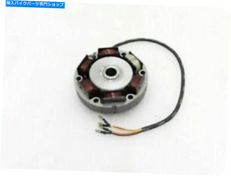 Alternators ロイヤルエンフィールドオルタネーター＆ローター6ワイヤー12Vに適しています SUITABLE FOR  ENFIELD ALTERNATOR & ROTOR 6 WIRE 12V【並行輸入品】
